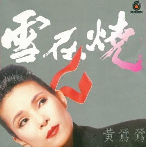 电影雪在烧在线观看,燃烧的复仇火焰,揭秘复仇之路 第3张 电影雪在烧在线观看,燃烧的复仇火焰,揭秘复仇之路 第3张