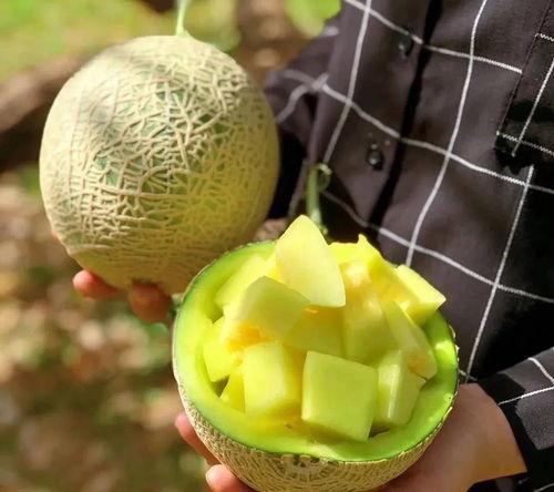 娱乐圈吃瓜有什么好处 第3张 娱乐圈吃瓜有什么好处 第3张